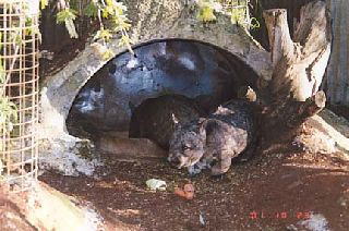 Site de rencontre coquine sans arnaque